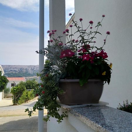 Apartment Edina Pag パグ エクステリア 写真