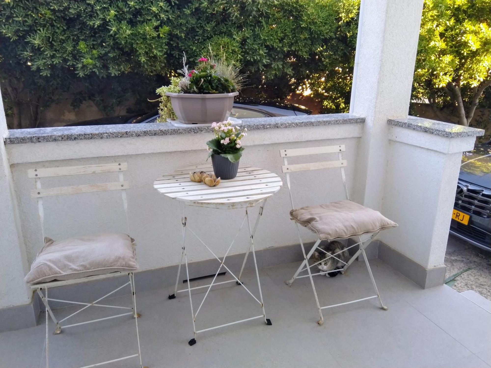 Apartment Edina Pag パグ エクステリア 写真
